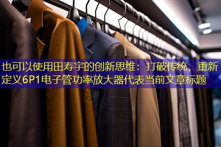 田寿宇的创新思维:打破传统,重新定义6P1电子管功率放大器 田寿宇的创新思维:打破传统,重新定义6P1电子管功率放大器